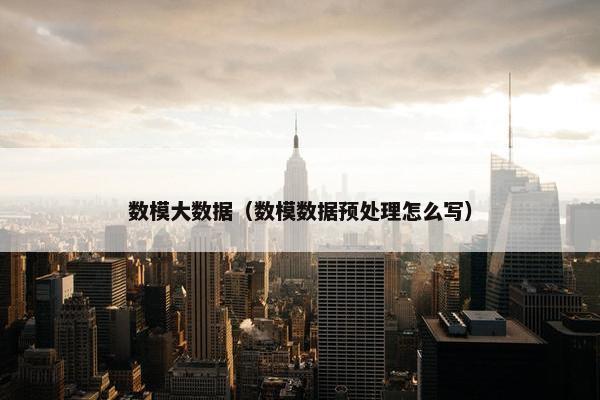 数模大数据（数模数据预处理怎么写）
