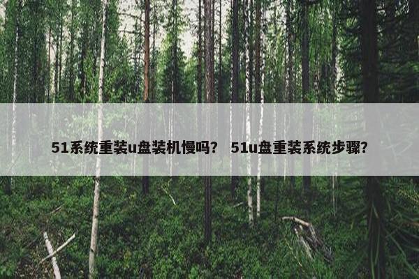 51系统重装u盘装机慢吗？ 51u盘重装系统步骤？