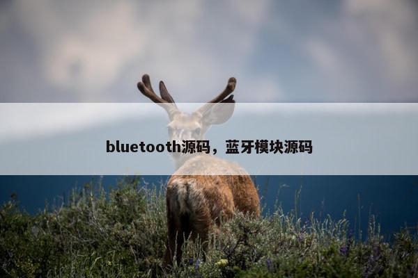 bluetooth源码，蓝牙模块源码