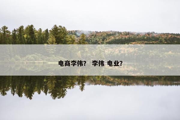电商李伟？ 李伟 电业？