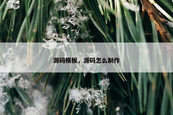 源码模板，源码怎么制作