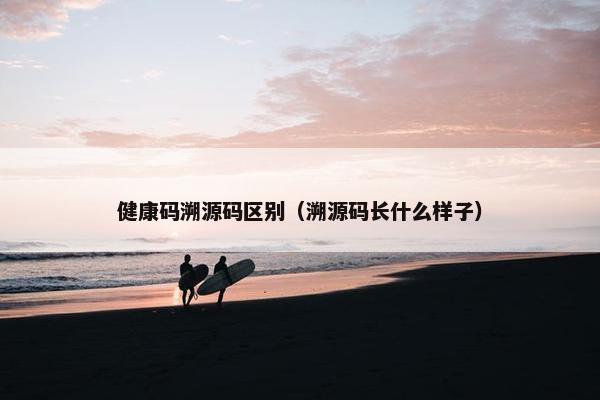 健康码溯源码区别（溯源码长什么样子）