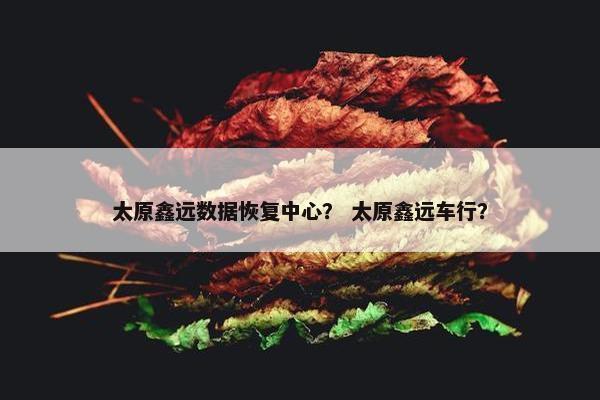 太原鑫远数据恢复中心？ 太原鑫远车行？