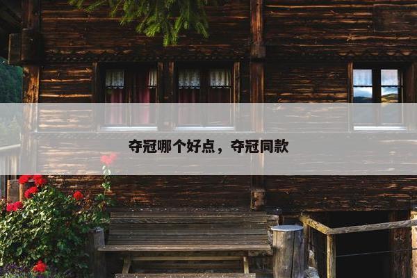 夺冠哪个好点，夺冠同款