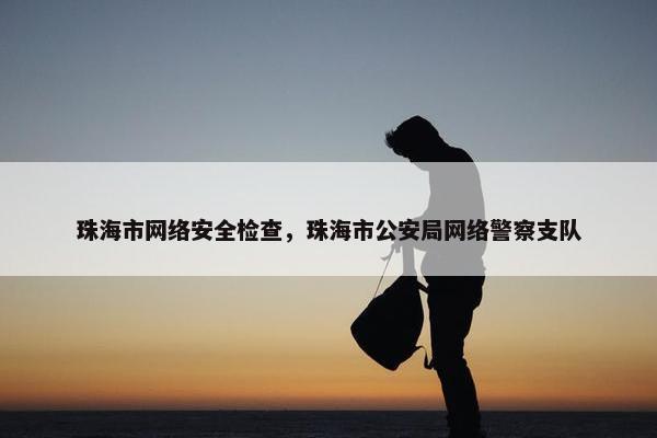 珠海市网络安全检查，珠海市公安局网络警察支队