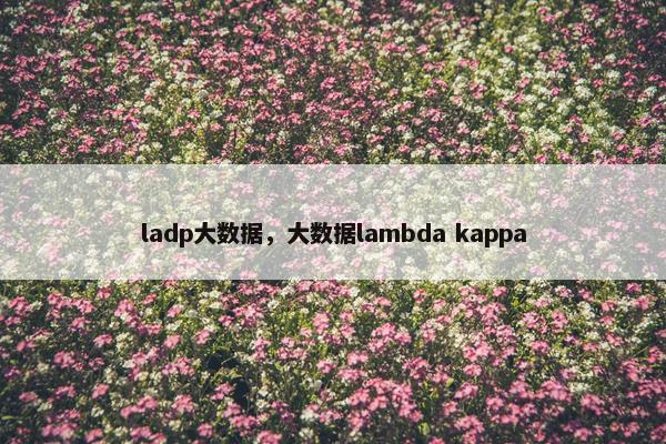 ladp大数据，大数据lambda kappa