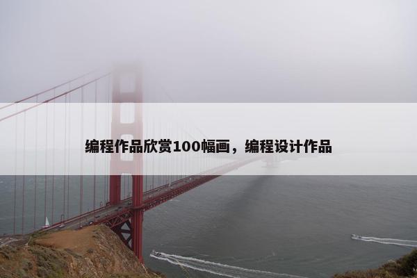 编程作品欣赏100幅画，编程设计作品