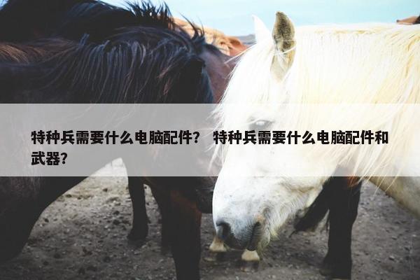 特种兵需要什么电脑配件？ 特种兵需要什么电脑配件和武器？