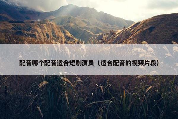 配音哪个配音适合短剧演员（适合配音的视频片段）
