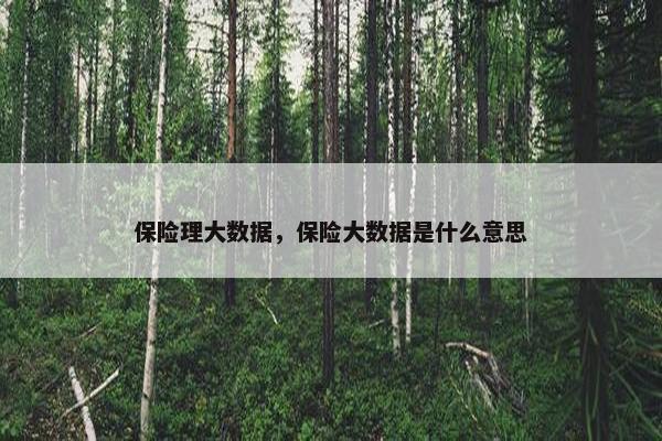 保险理大数据，保险大数据是什么意思