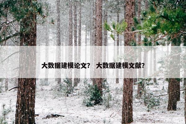 大数据建模论文？ 大数据建模文献？
