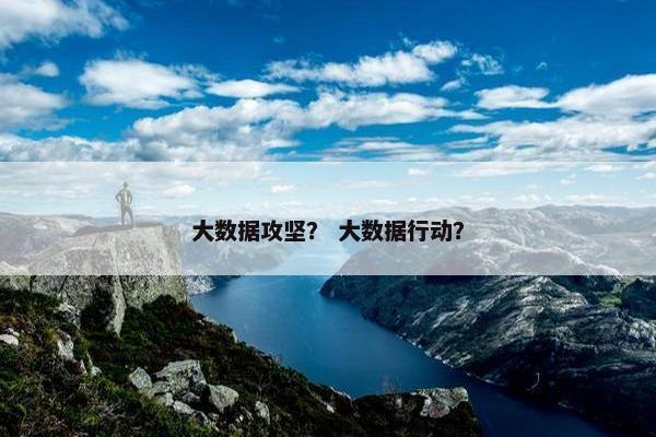 大数据攻坚？ 大数据行动？