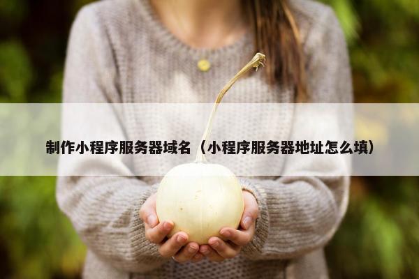制作小程序服务器域名（小程序服务器地址怎么填）