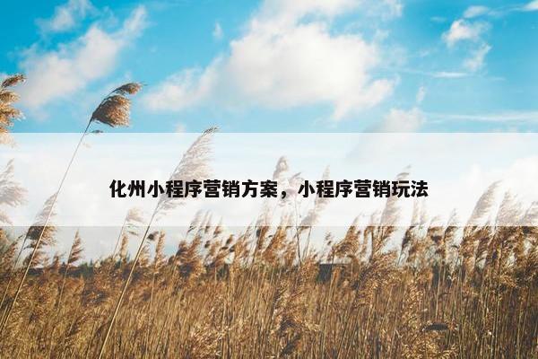化州小程序营销方案，小程序营销玩法