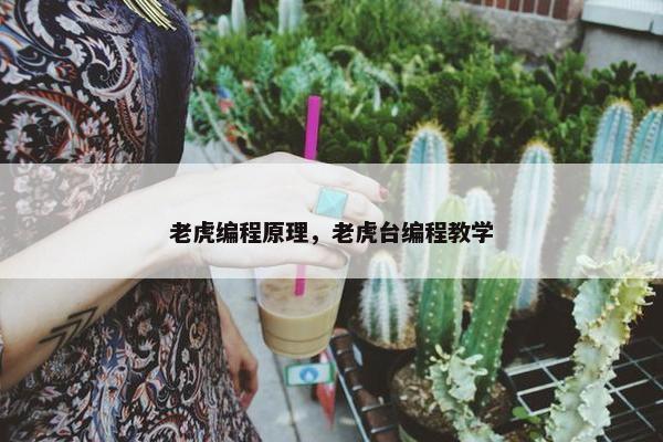 老虎编程原理，老虎台编程教学