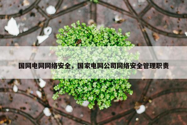 国网电网网络安全，国家电网公司网络安全管理职责