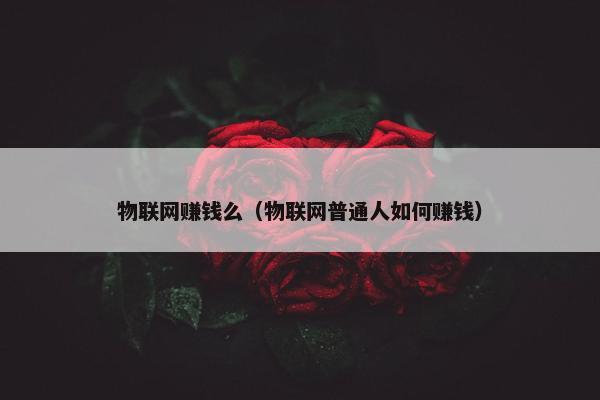 物联网赚钱么（物联网普通人如何赚钱）
