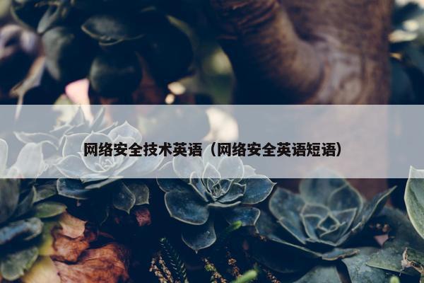 网络安全技术英语（网络安全英语短语）