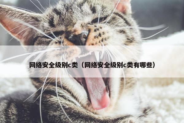 网络安全级别c类（网络安全级别c类有哪些）