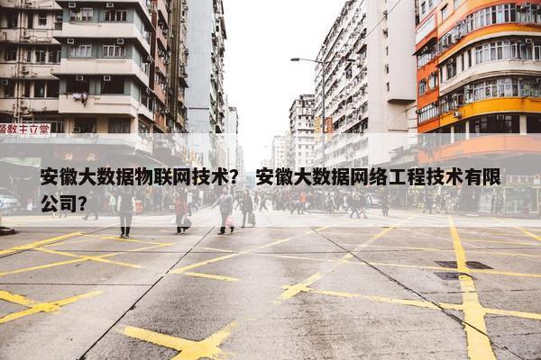 安徽大数据物联网技术？ 安徽大数据网络工程技术有限公司？