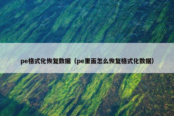 pe格式化恢复数据（pe里面怎么恢复格式化数据）