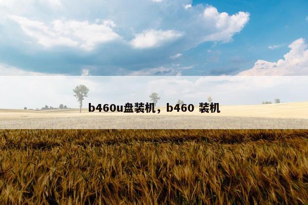 b460u盘装机，b460 装机