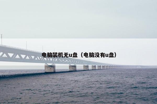 电脑装机无u盘（电脑没有u盘）