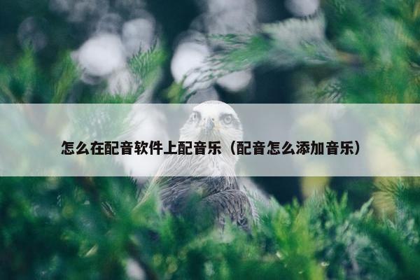 怎么在配音软件上配音乐（配音怎么添加音乐）