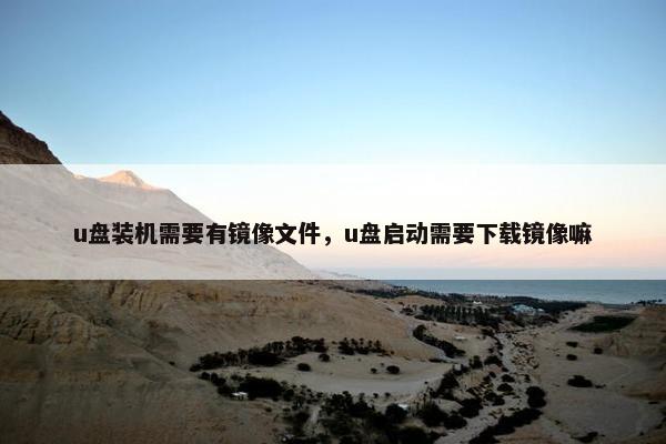 u盘装机需要有镜像文件，u盘启动需要下载镜像嘛