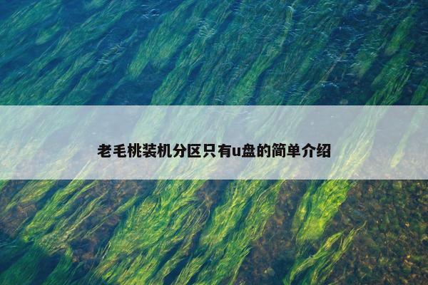 老毛桃装机分区只有u盘的简单介绍