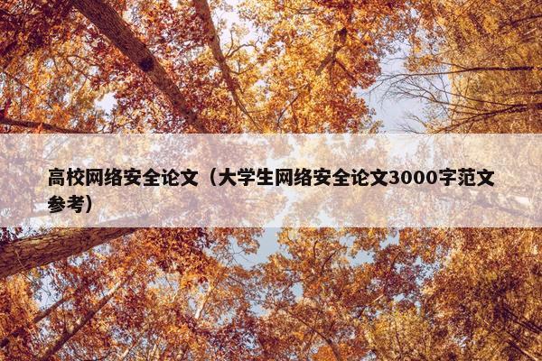高校网络安全论文（大学生网络安全论文3000字范文参考）
