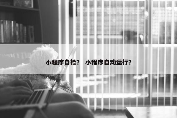 小程序自检？ 小程序自动运行？