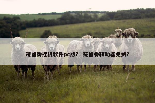 楚留香挂机软件pc版？ 楚留香辅助器免费？