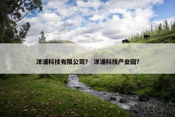 洋浦科技有限公司？ 洋浦科技产业园？