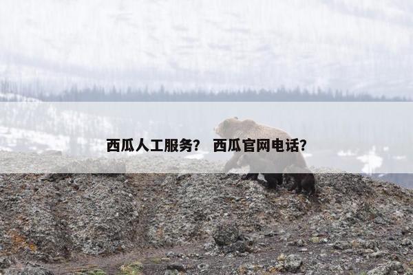 西瓜人工服务？ 西瓜官网电话？
