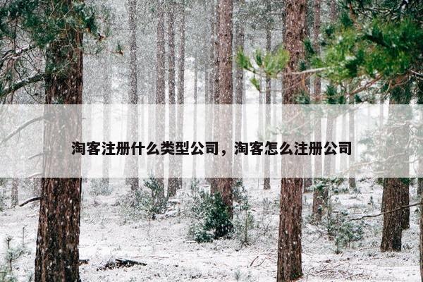 淘客注册什么类型公司，淘客怎么注册公司