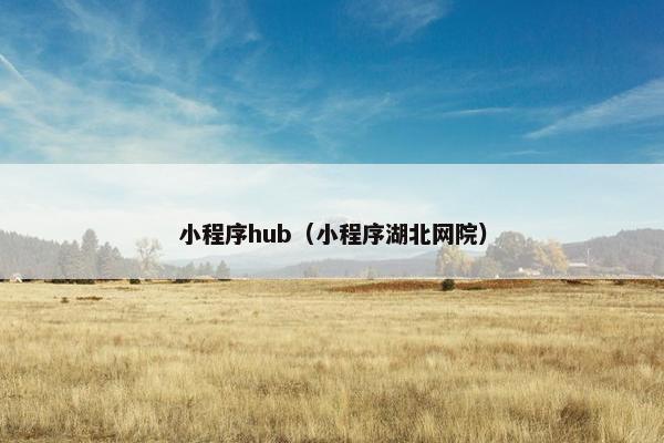 小程序hub（小程序湖北网院）