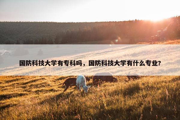 国防科技大学有专科吗，国防科技大学有什么专业?