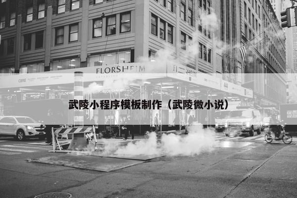 武陵小程序模板制作（武陵微小说）