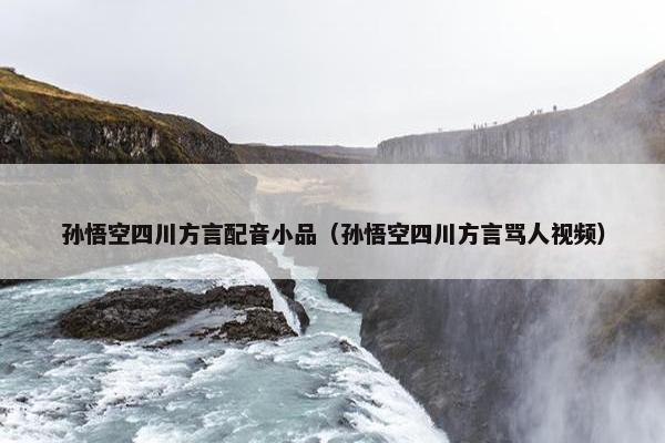 孙悟空四川方言配音小品（孙悟空四川方言骂人视频）