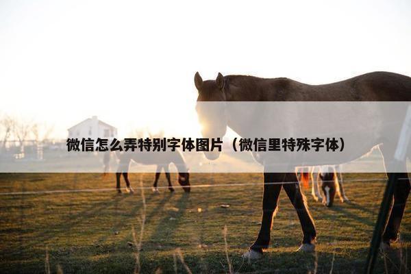 微信怎么弄特别字体图片（微信里特殊字体）