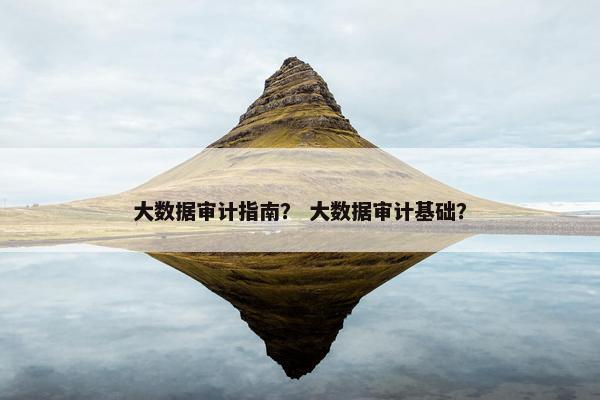 大数据审计指南？ 大数据审计基础？