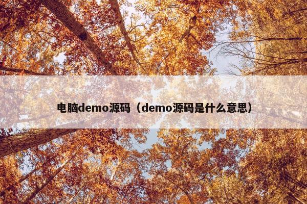 电脑demo源码（demo源码是什么意思）