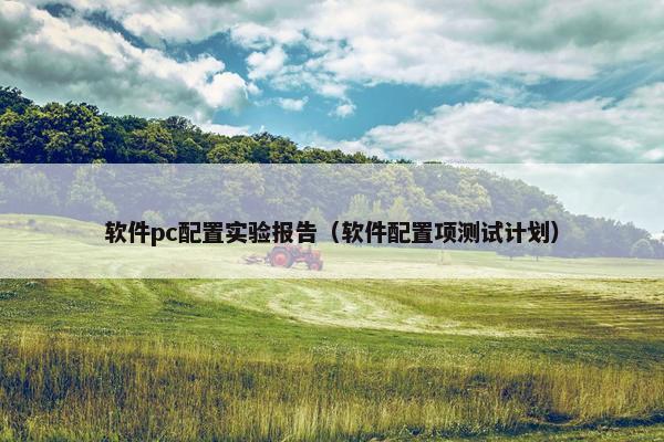 软件pc配置实验报告（软件配置项测试计划）
