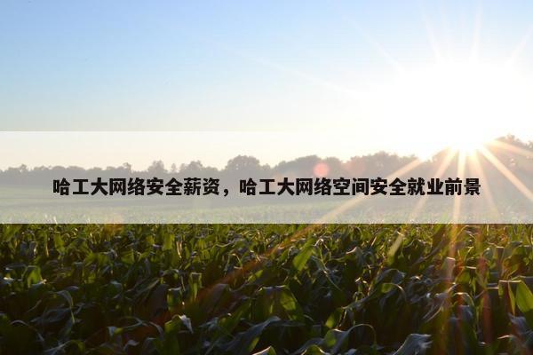 哈工大网络安全薪资，哈工大网络空间安全就业前景