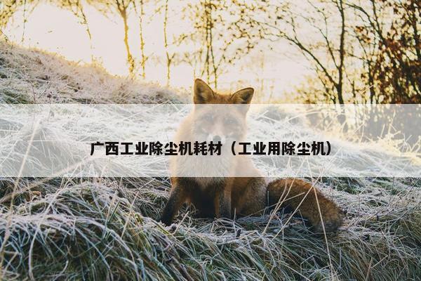 广西工业除尘机耗材（工业用除尘机）