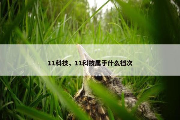 11科技，11科技属于什么档次