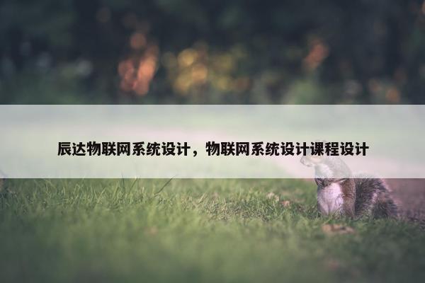 辰达物联网系统设计，物联网系统设计课程设计
