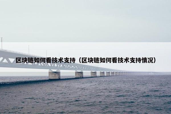 区块链如何看技术支持（区块链如何看技术支持情况）