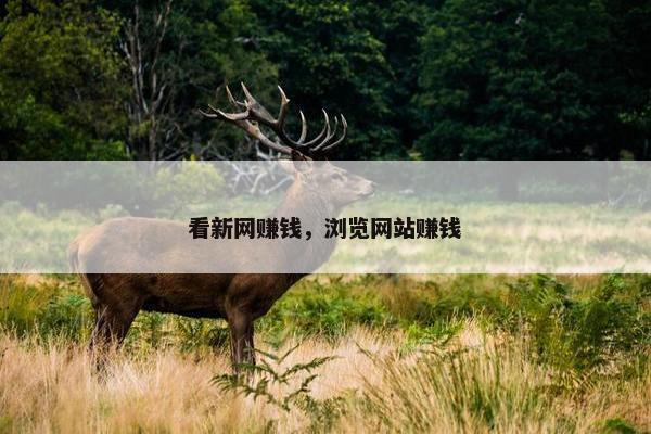 看新网赚钱，浏览网站赚钱